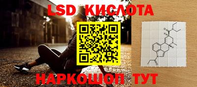 индика Нальчик