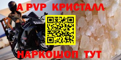 спиды Новозыбков