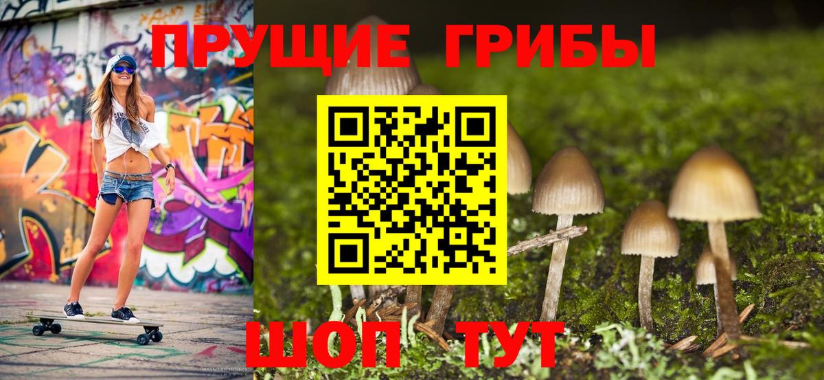 Псилоцибиновые грибы GOLDEN TEACHER  Псилоцибиновые грибы прущие грибы  Вход с VPN  Черногорск 