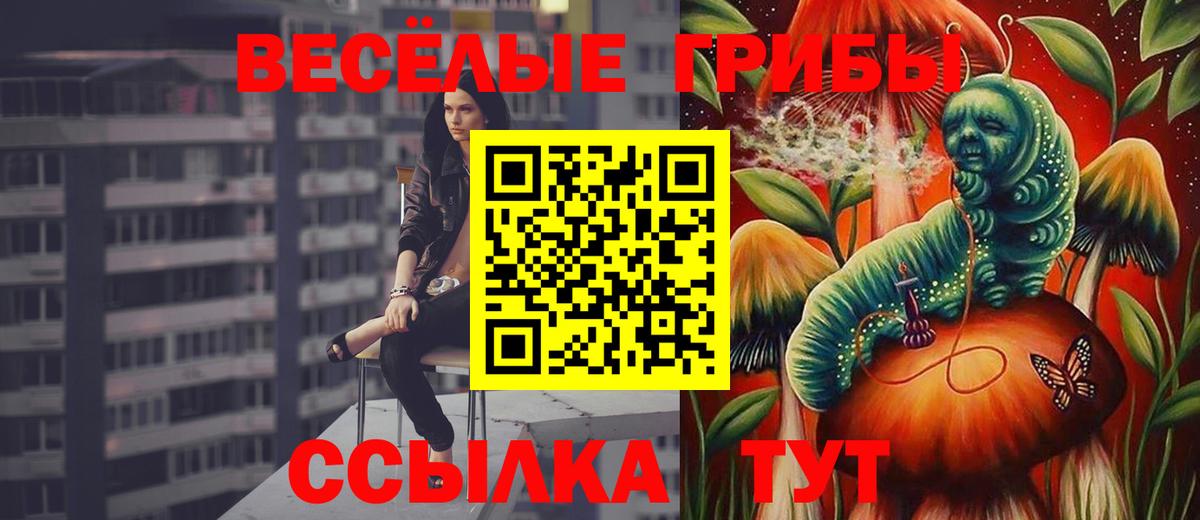Псилоцибиновые грибы Psilocybine cubensis Черногорск
